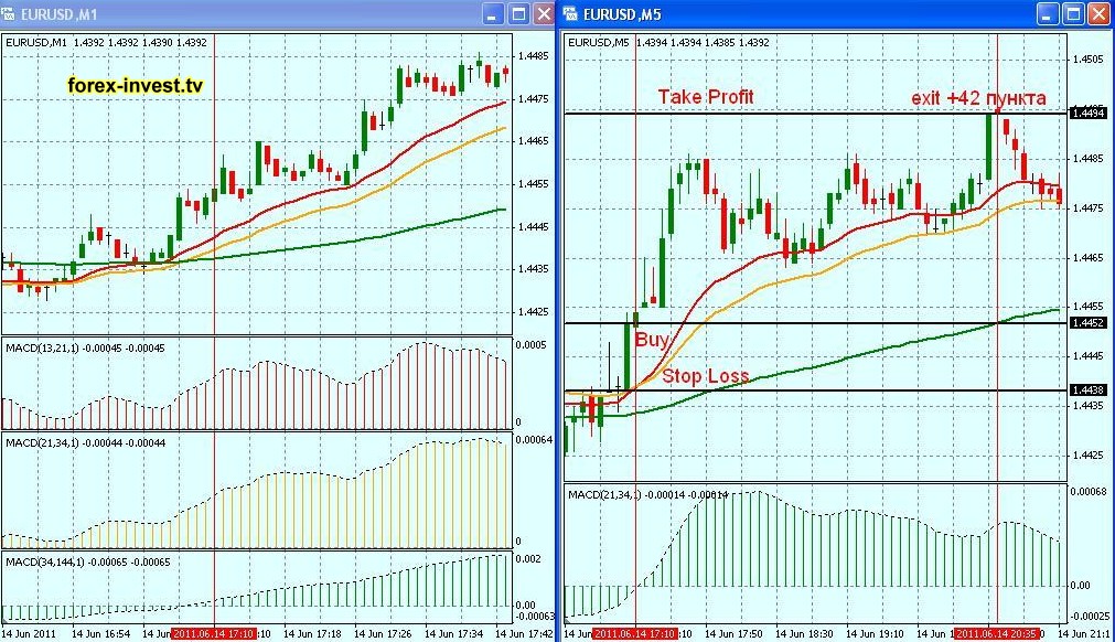 M1 m5 forex strategies forex trading chart online